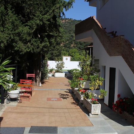 Apartamento Guadiaro 3 Ainhoa Benaoján Exteriör bild