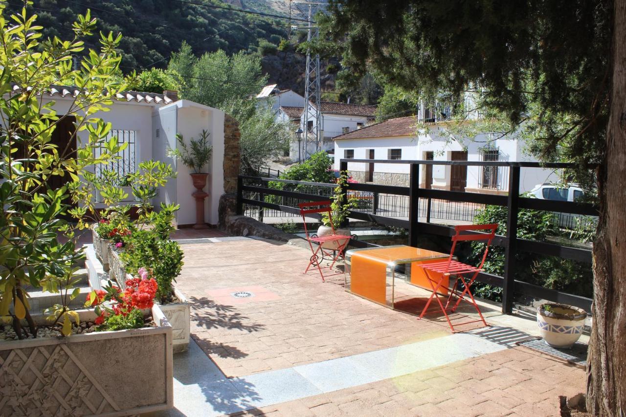Apartamento Guadiaro 3 Ainhoa Benaoján Exteriör bild